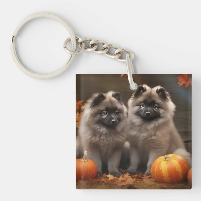 Keeshond Puppy Autumn Delight Pumpkin Key Ring (Front)