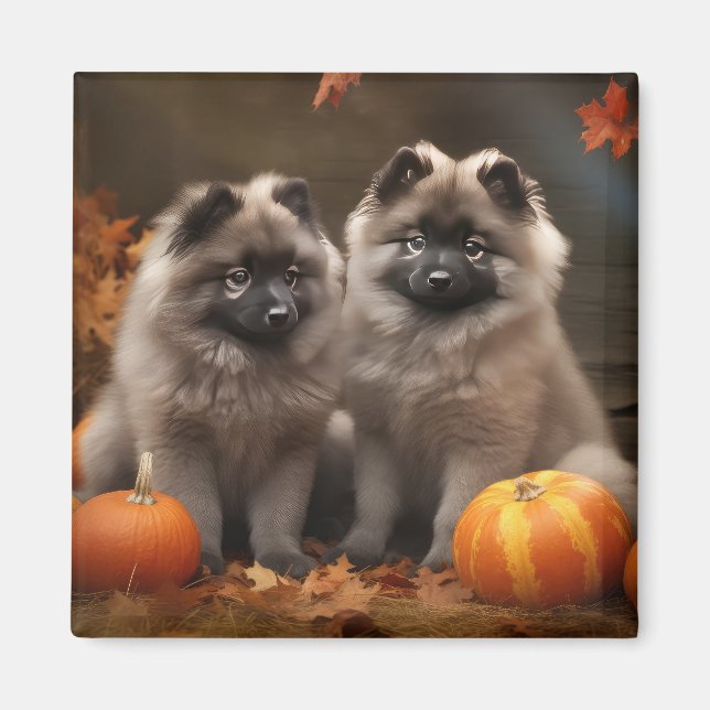 Keeshond Puppy Autumn Delight Pumpkin Magnet (Front)