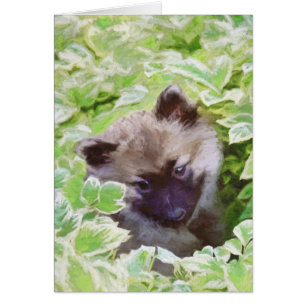 Keeshond Puppy in the Garden Painting Original Art