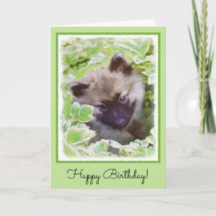 Keeshond Puppy in the Garden Painting Original Art Card