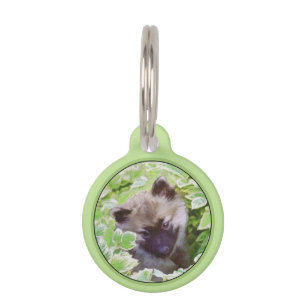 Keeshond Puppy in the Garden Painting Original Art Pet Tag