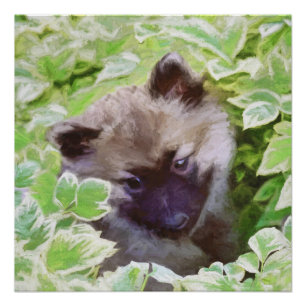 Keeshond Puppy in the Garden Painting Original Art Poster
