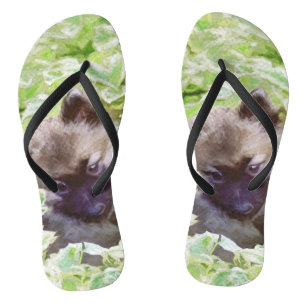 Keeshond Puppy in the Garden Painting Original Art Thongs