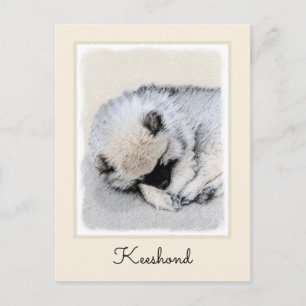 Keeshond Sleeping Puppy Painting Original Dog Art Postcard