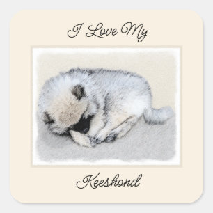 Keeshond Sleeping Puppy Painting Original Dog Art Square Sticker