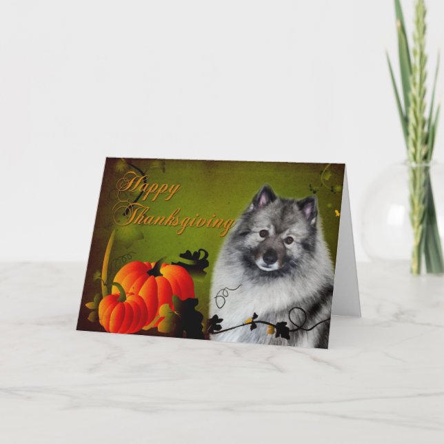 Keeshond Thanksgiving Card (Front)