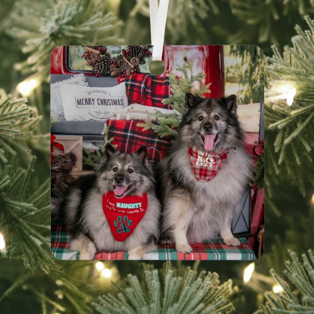 Keeshond truck ornament (Insitu)