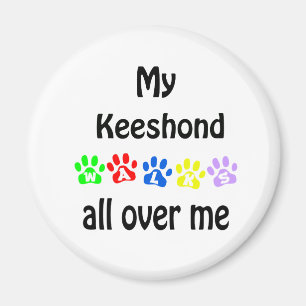 Keeshond Walks Design Magnet