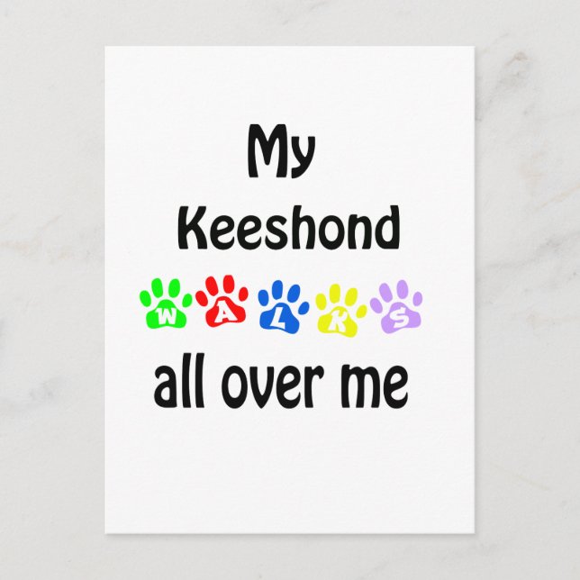 Keeshond Walks Design Postcard (Front)