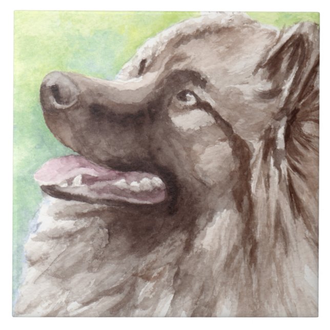 Keeshond Watercolor Portrait Ceramic Tile (Front)