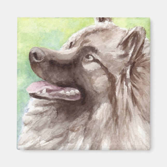 Keeshond Watercolor Portrait Magnet (Front)