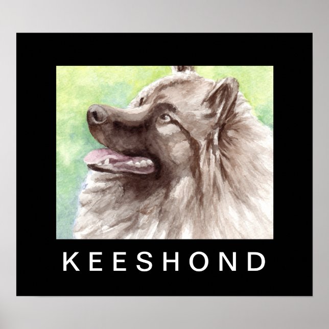 Keeshond Watercolor Portrait Poster (Front)