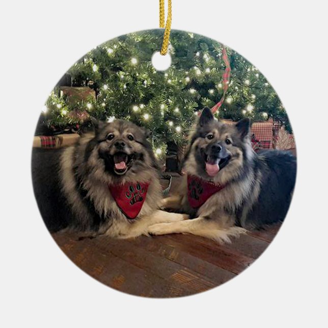 Keeshond with Christmas Tree Ceramic Tree Decoration (Front)