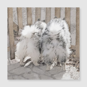 Keeshonds at the Gate Painting - Original Dog Art