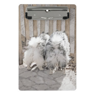 Keeshonds at the Gate Painting - Original Dog Art Mini Clipboard