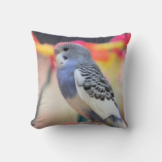Keet Cushion (Front)