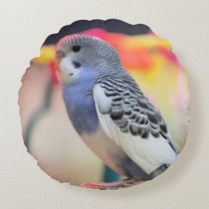 Keet round cushion