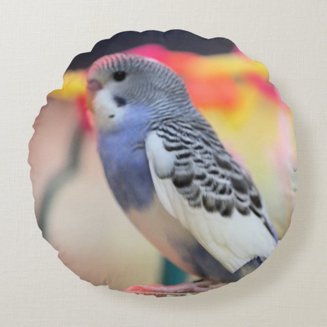 Keet  round cushion (Front)