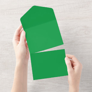 Kelly Green #06983E, Algae All In One Invitation