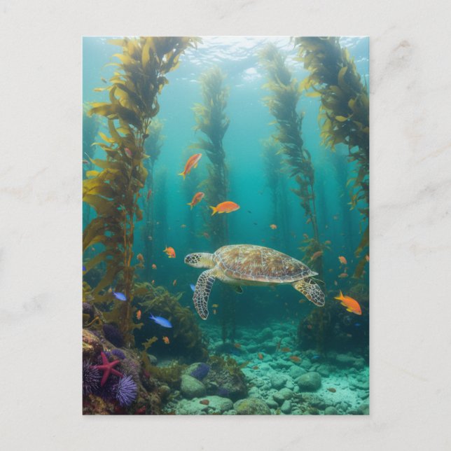 Kelp Forest California Postcard (Front)