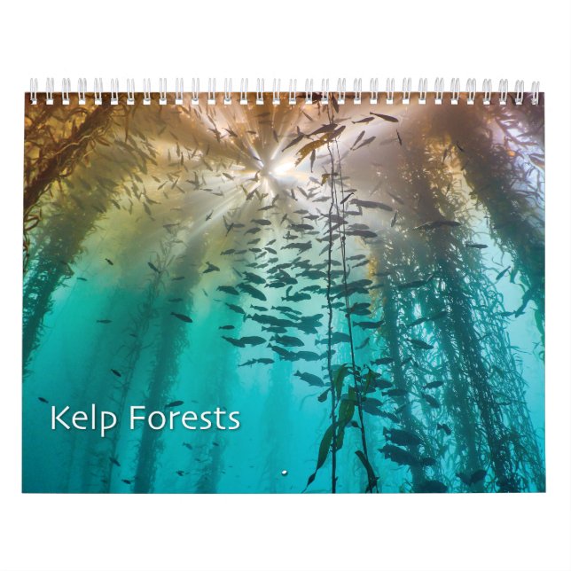 Kelp Forest Underwater Photo Calendar - Ocean  (Cover)
