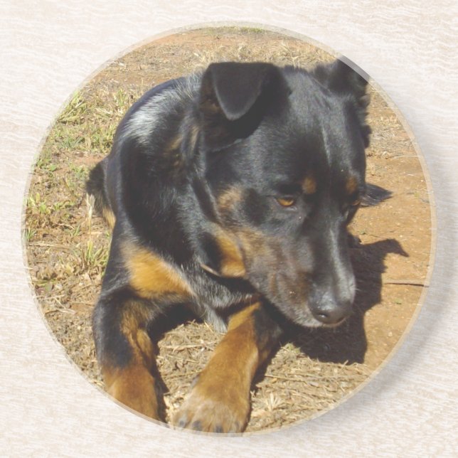 Kelpie_Farm_Life,_ Coaster (Front)