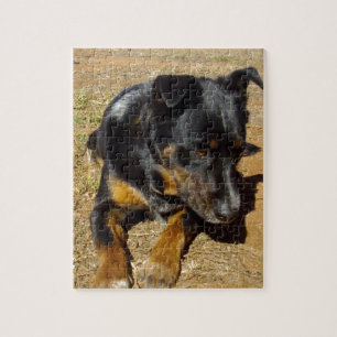 Kelpie_Farm_Life,_ Jigsaw Puzzle