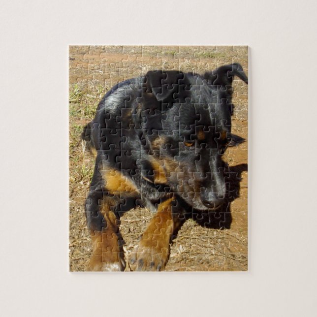 Kelpie_Farm_Life,_ Jigsaw Puzzle (Vertical)