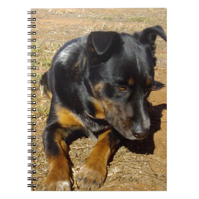 Kelpie_Farm_Life,_ Notebook (Front)