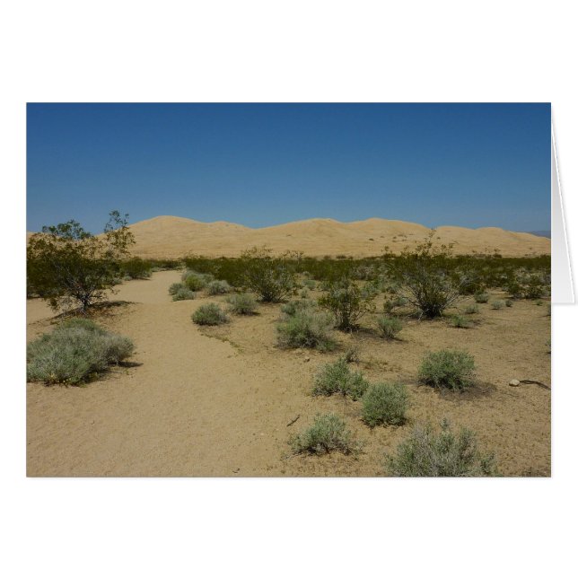 Kelso Dunes at Mojave National Park (Front Horizontal)