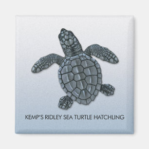 Kemp's Ridley Sea Turtle Hatchling Magnet