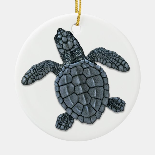 Kemp's Ridley Sea Turtle Hatchling Ornament (Front)