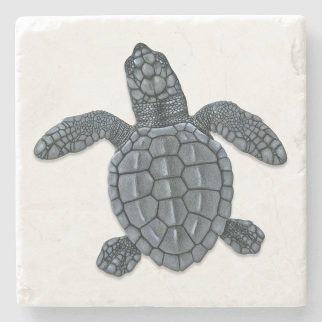 Kemp's Ridley Sea Turtle Hatchling Stone Coaster (Front)