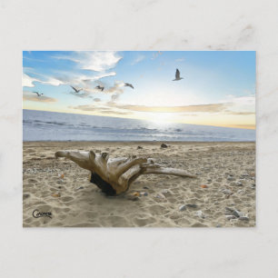Kenai Beach Alaska - Postcard