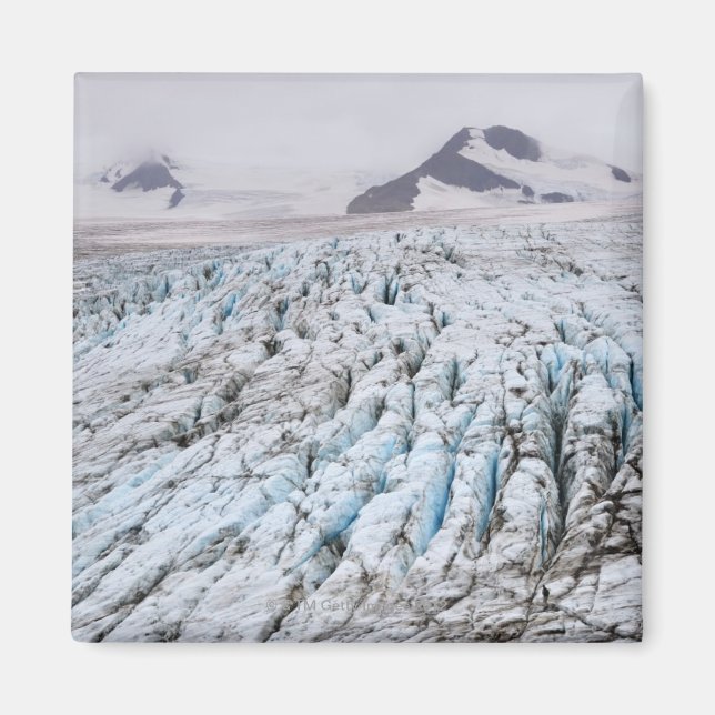 Kenai Fjords National Park Magnet (Front)