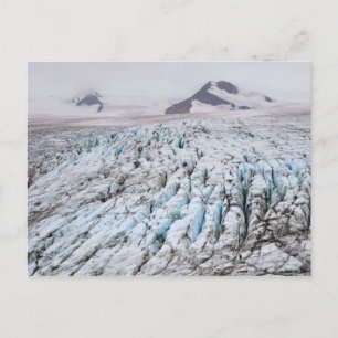 Kenai Fjords National Park Postcard
