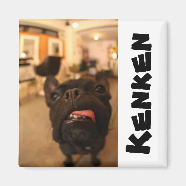 Kenken Magnets E (Front)