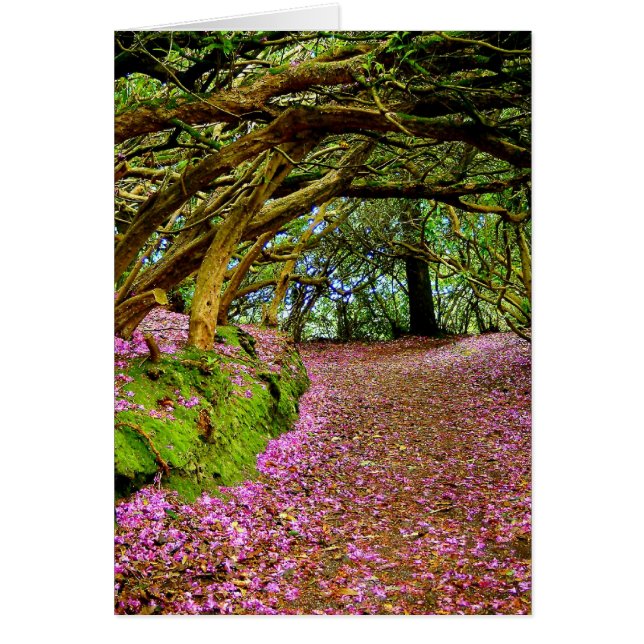 Kenmare Ireland (Front)