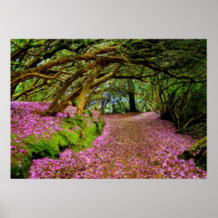 Kenmare  Rhododendron Tunnel - The... - Customised Poster