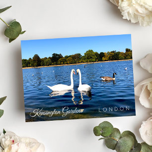 Kensignton Gardens Pond   The royal Park LONDON UK Postcard