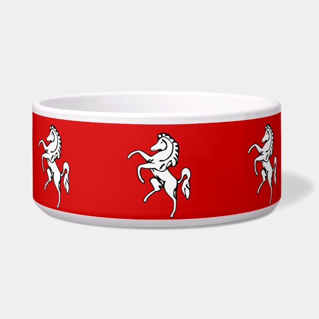 Kent County Flag Pet Bowl (Front)