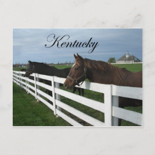 Kentucky Bluegrass Country Postcard