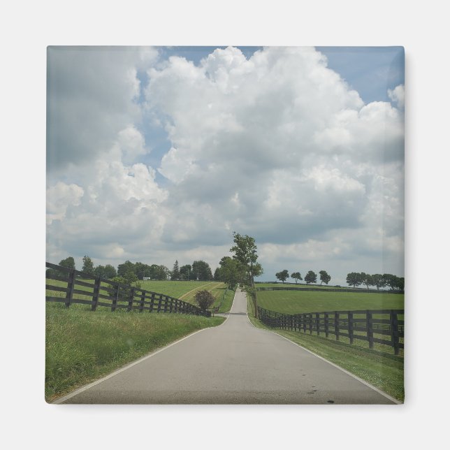 Kentucky Bluegrass magnet (Front)