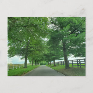Kentucky Bluegrass postcard
