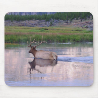 Kentucky Elk Mouse Pad