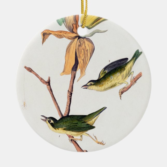 Kentucky Fly-catching Warbler Birds Illustration Ceramic Ornament (Front)