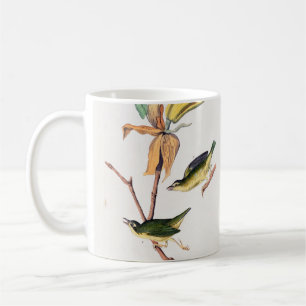 Kentucky Fly-catching Warbler Birds Illustration Coffee Mug