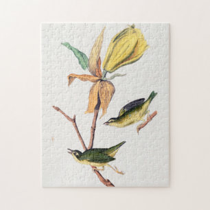 Kentucky Fly-catching Warbler Birds Illustration Jigsaw Puzzle