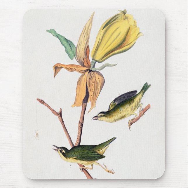 Kentucky Fly-catching Warbler Birds Illustration Mouse Pad (Front)