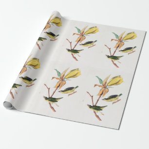 Kentucky Fly-catching Warbler Birds Illustration Wrapping Paper